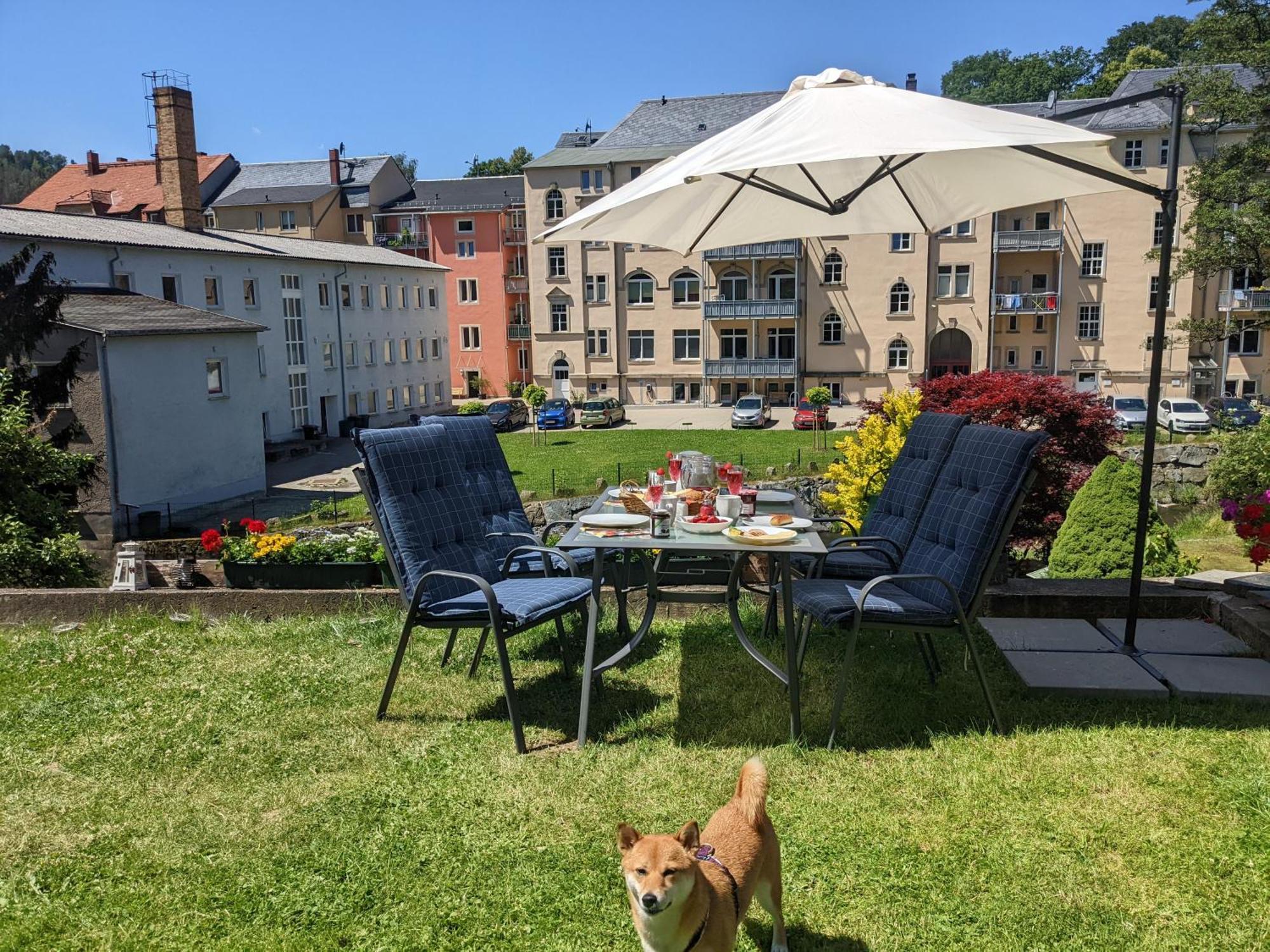 F3 Urlaubsmagie - Pool, Garten & Terrasse - 4P 赛博尼茨 外观 照片