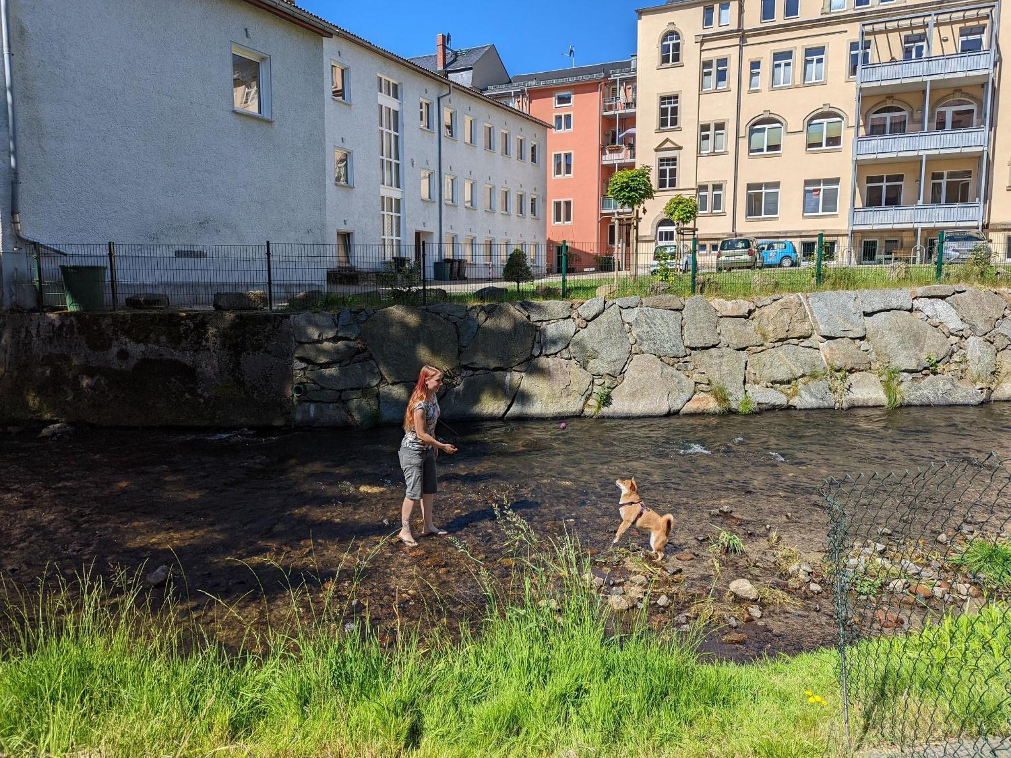 F3 Urlaubsmagie - Pool, Garten & Terrasse - 4P 赛博尼茨 外观 照片