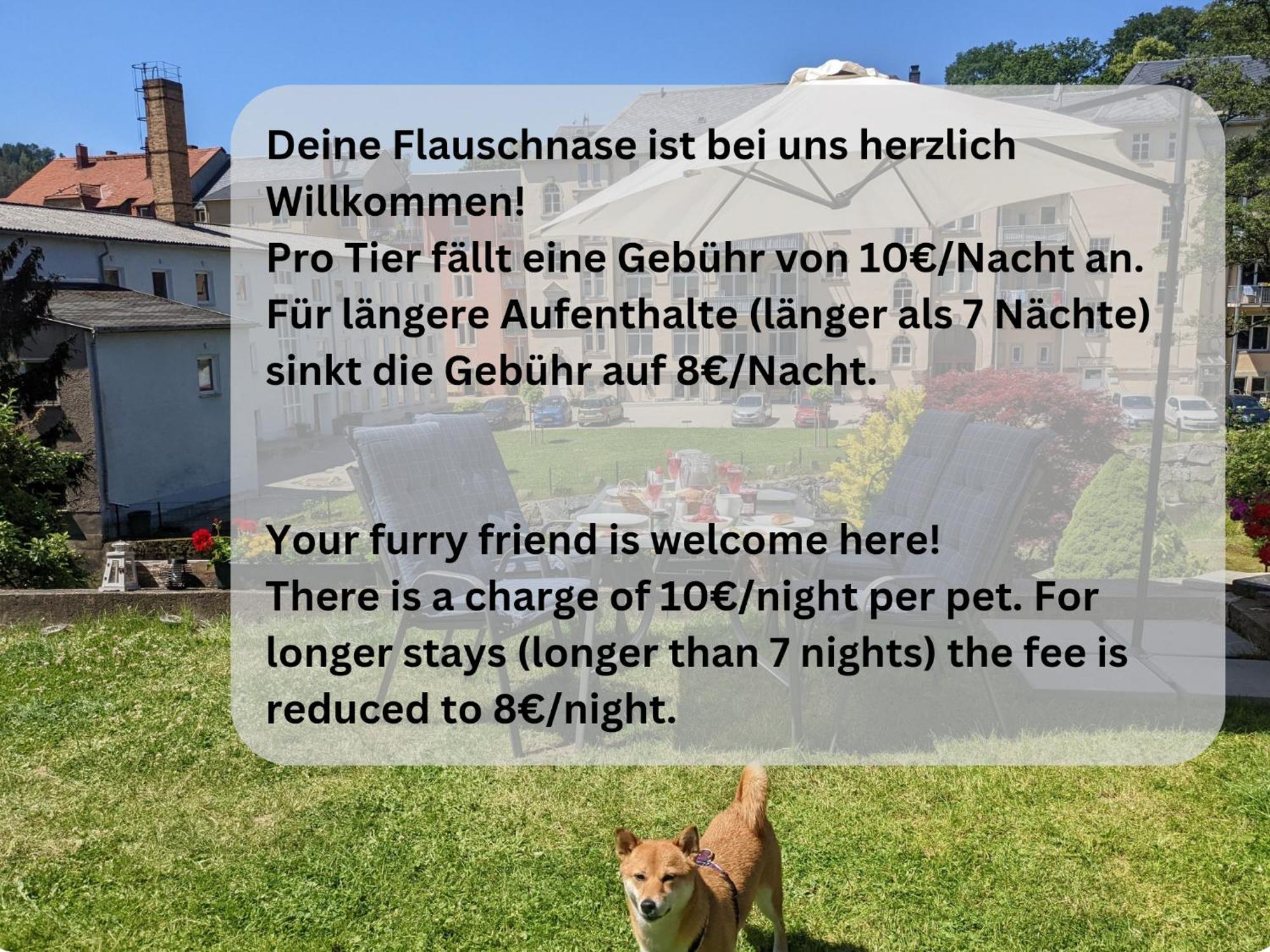 F3 Urlaubsmagie - Pool, Garten & Terrasse - 4P 赛博尼茨 外观 照片